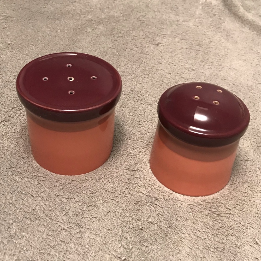 Mikasa Coral Surf Salt and Pepper Shakers